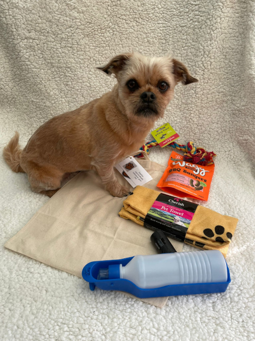 Complimentary bag of dog goodies
